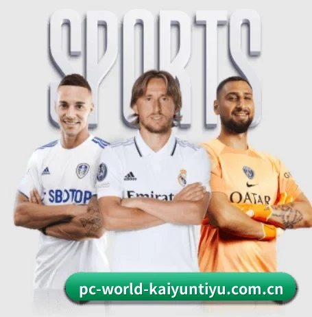 五大智库级服务分区，让资讯获取如同呼吸般自然